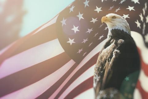American flag with bald eagle